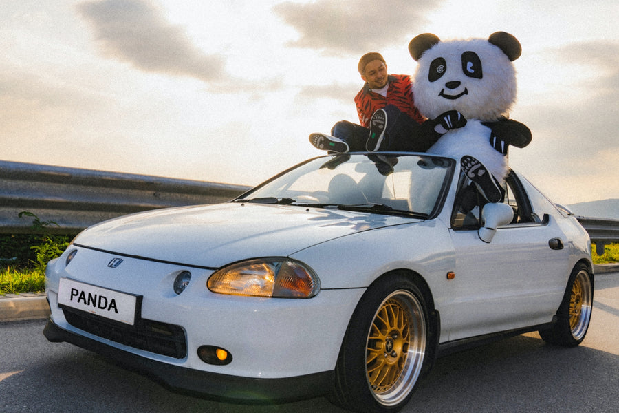 FOLLOW CLOT PANDA NING NING ON ITS FUN ADVENTURES IN THE HUMAN WORLD