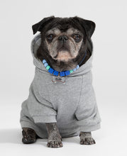 CLOT x AFGK Pet Hoodies (Grey)