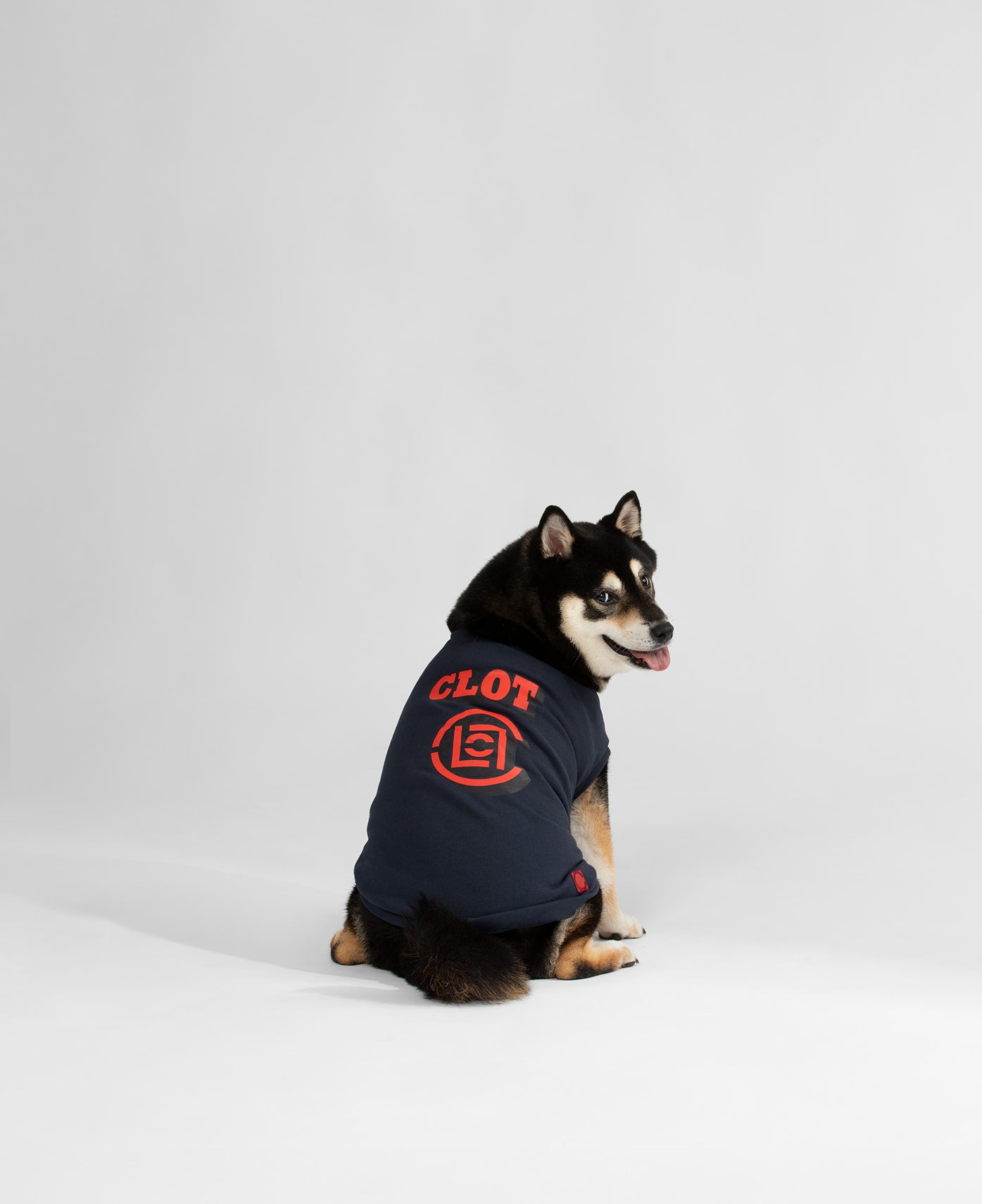 Logo Pet Vest (Navy)