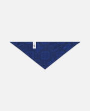 Pet Triangle Scarf (Blue)
