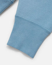 Vinny (Blue)