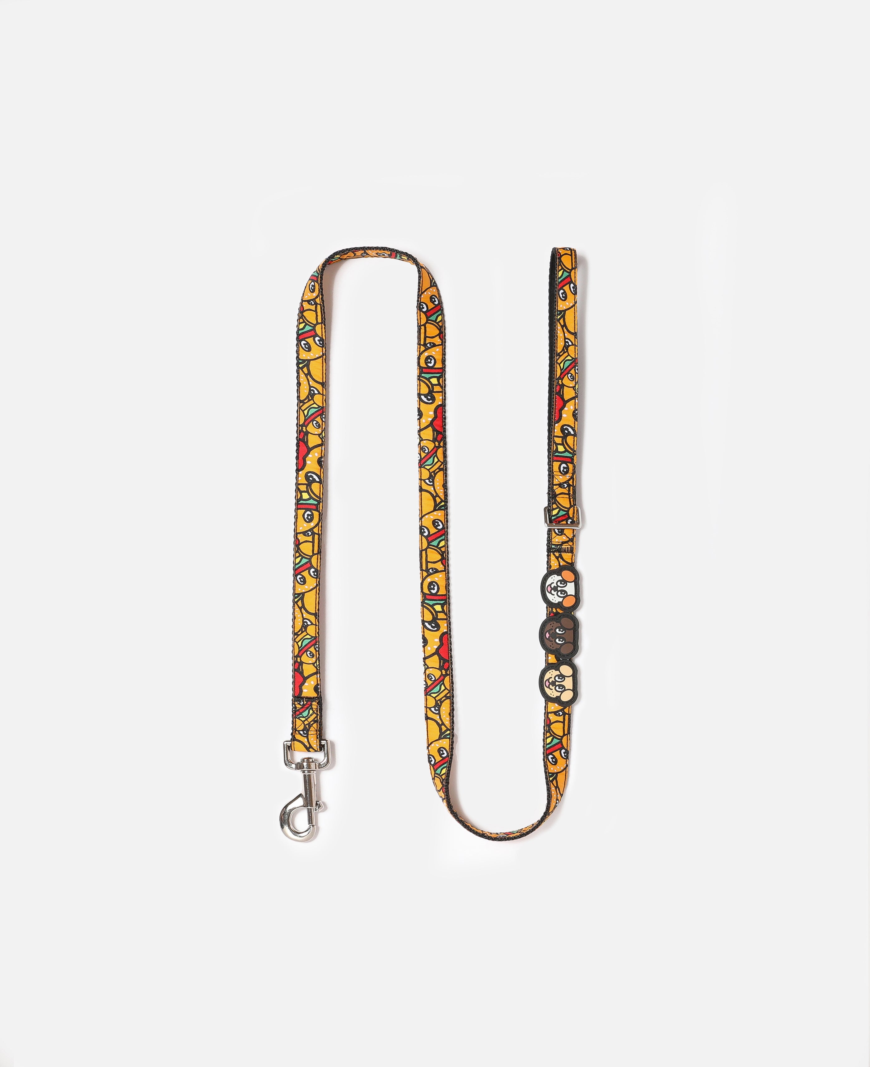 Dog Leash (Orange)
